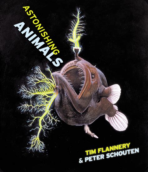 Text Publishing — Astonishing Animals Book By Tim Flannery And Peter