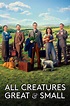All Creatures Great & Small (TV Series 2020- ) - Posters — The Movie ...