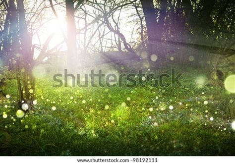 Fantasy Forest Abstract Theme Sunlight Sun Stock Photo Edit Now 98192111