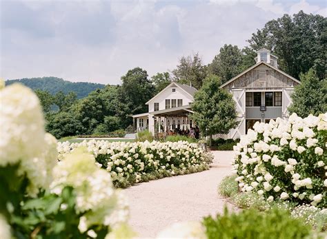 Pippin Hill Farm And Winery Charlottesville Insider