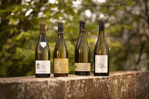 A Brief Guide To White Burgundy Appellations — Berry Bros And Rudd Wine Blog