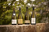 A Brief Guide to White Burgundy Appellations — Berry Bros. & Rudd Wine Blog