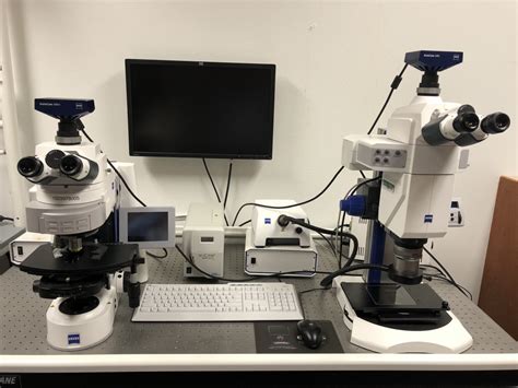 Confocal Microscope Laboratory Department Of Biological Sciences