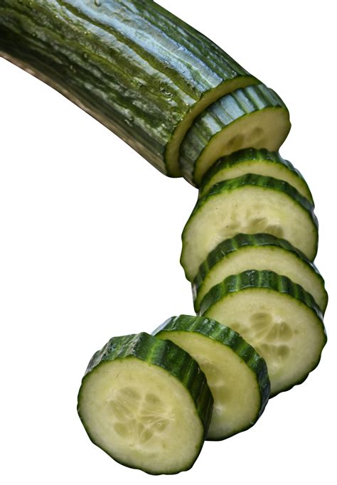 Cucumber in slices PNG Image - PurePNG | Free transparent CC0 PNG Image png image