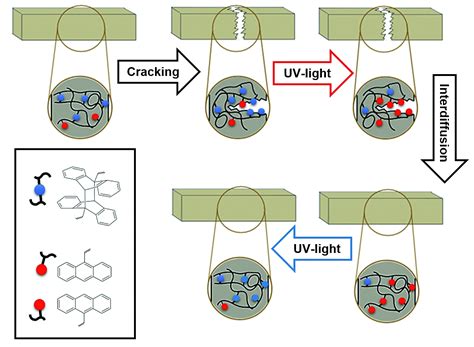 So that you can do it from any where across the world. Photo-triggered Self-Healing of Elastomers - kgk ...