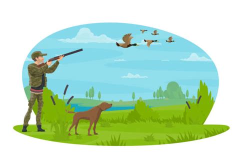 Waterfowl Hunting Backgrounds Illustrations Royalty Free Vector