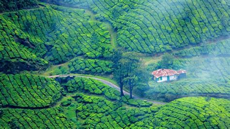 Munnar Tourist Places 12 Best Places To Visit In Munnar