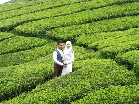 The cameron highlands is a district in pahang, malaysia, occupying an area of 712.18 square kilometres (274.97 sq mi). CAMERON SERVICE / MOUNTAIN TOUR & TRAVEL SDN. BHD.: 21 ...