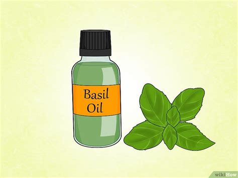 Make sure that you understand how to use pesticides competently. Make Natural Outdoor Fly Repellent with Essential Oils ...