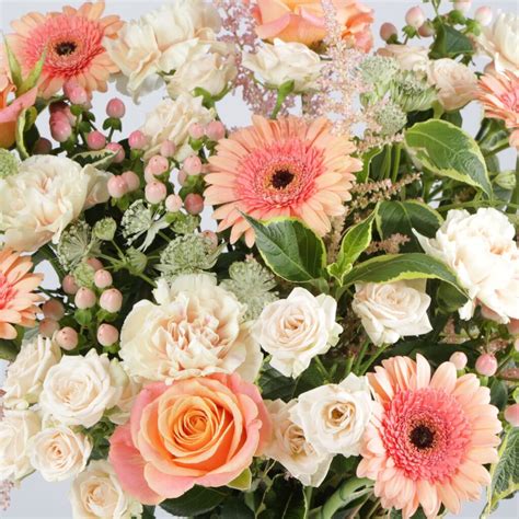 Marks And Spencer Flowers By Post Best Flowers By Post Cheap