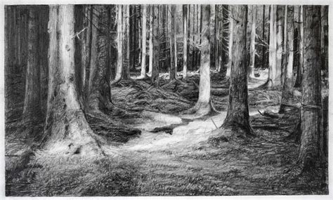 Drawing Of The Woods At Explore Collection Of