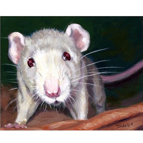 Rat Animal Art Print Of Original Painting By Dottie Dracos Etsy