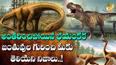 Amazing Extinct Animals You Probably Never Heard Of Oldest Animals In