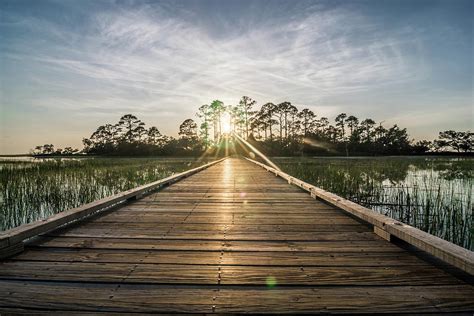 Hunting Island South Carolina Beach Scenes Photograph By Alex Grichenko