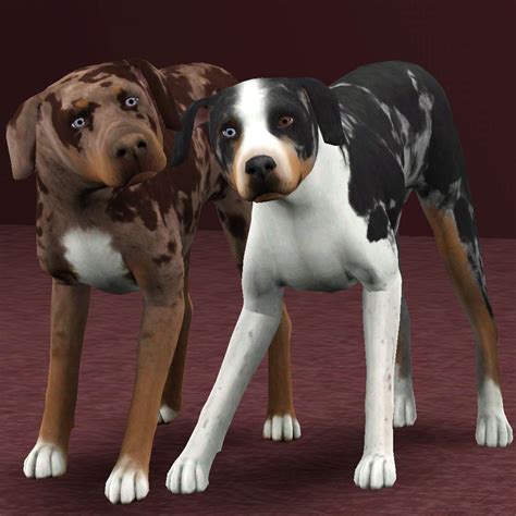 My Sims 3 Blog Catahoula Leopard Dogs By Pharaohhound