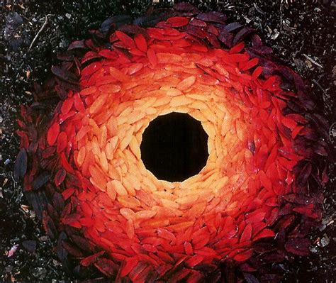 A Goldsworthy Andy Goldsworthy Autumn Leaves Art Artist Inspiration