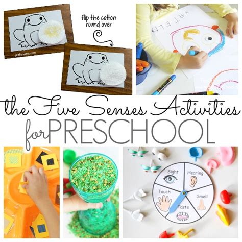 Preschool Activities That Feature The Five Senses Pre K Pages