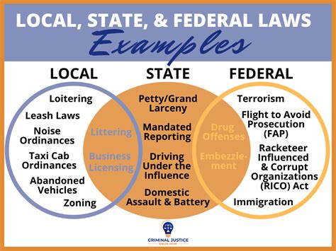 Crime Local State And Federal Criminal Justice Know How