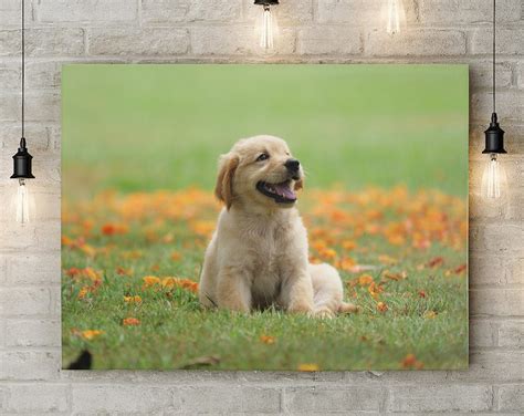 Personalized Dog Canvas Wall Art Pet Portrait From Photo Etsy