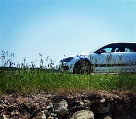 In the tall grass runs too long and repeats itself too much to be as gripping as its source material. Hiding in the tall grass : Golf_R