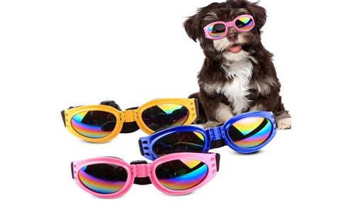 Pet Eye Protection Doggles Dog Sunglasses Goggles Uv Eyewear Padded