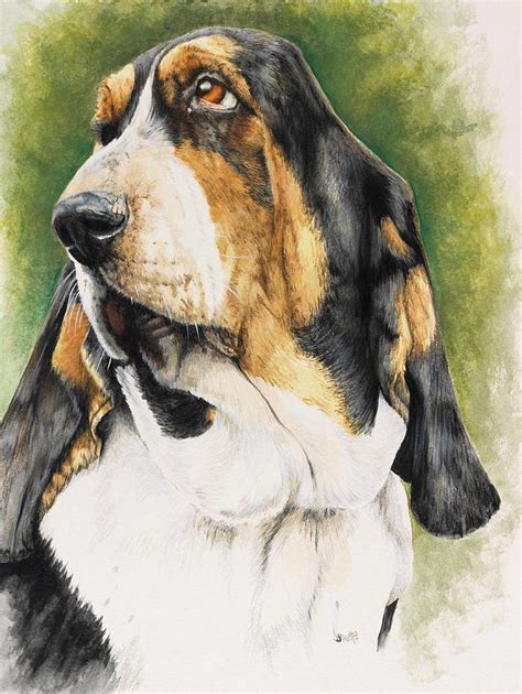 Basset Hound Painting By Barbara Keith