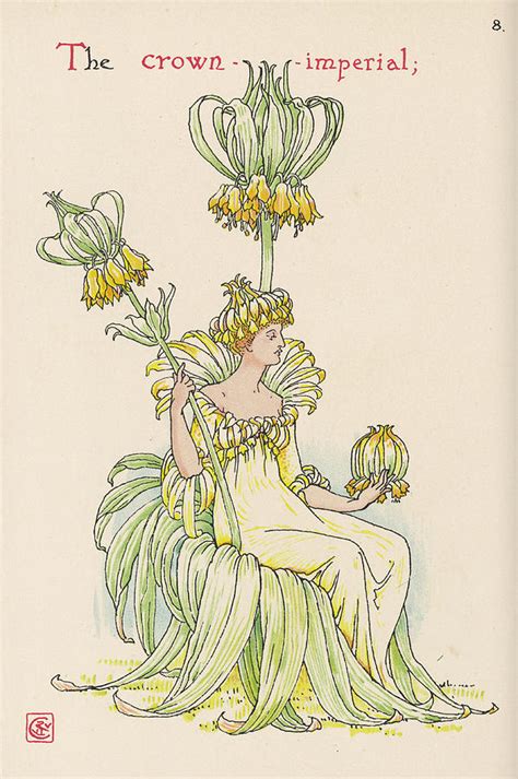 Crown Imperial Personified Drawing By Mary Evans Picture Library Fine Art America