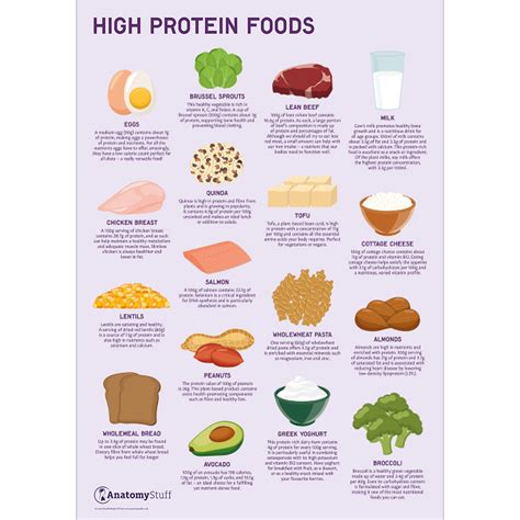 High Protein Foods Examples Foods Details