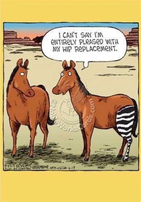 Pin By Hmca On Funnies Hip Replacement Medical Humor Zebra Cartoon