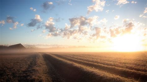 Brown Wheat Fields Nature Landscape Hd Wallpaper Wallpaper Flare