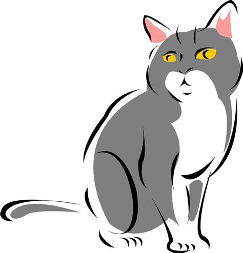 Grey Cat Clipart Free Download Transparent Png Creazilla