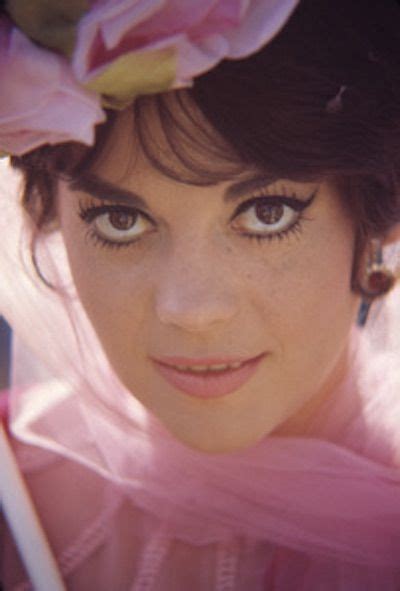 Gorgeous Natalie Wood All About Natalie Tony Curtis And The Great Race 1965 Click To Read