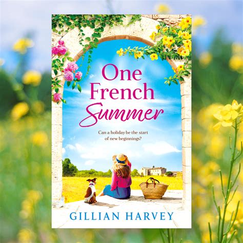 The Intrepid Reader And Baker Blog Tour One French Summer By Gillian