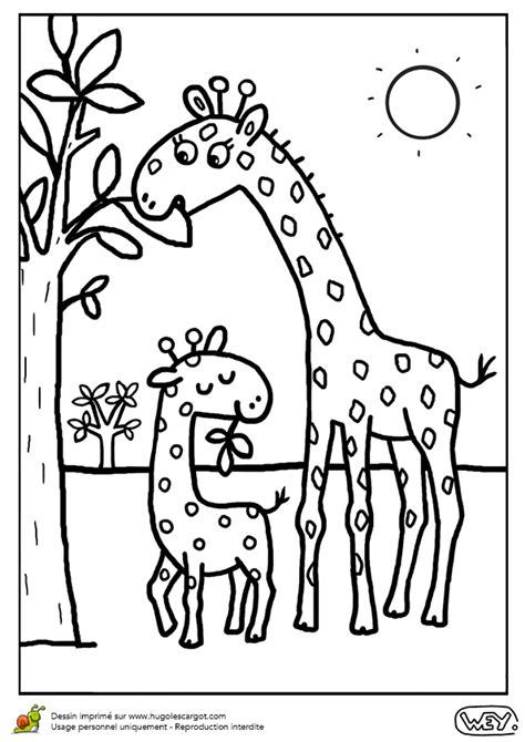 Coloriage Maman Girafe Et Bébé Girafon