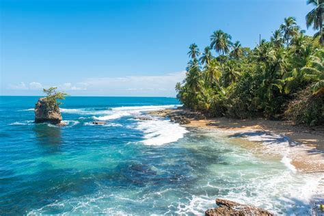 The Beach Is Surrounded By Palm Trees And Blue Water With Waves Coming