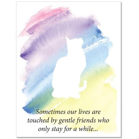 S Fixed Message Cat Sympathy Card Veterinary Wisdom