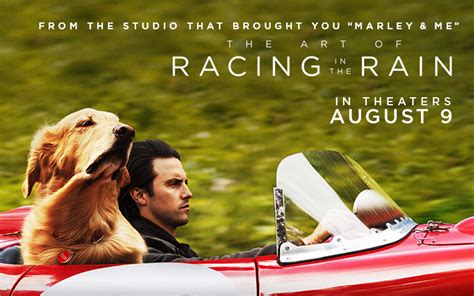 The Art Of Racing In The Rain Hbo Max - Una historia narrada a través de los ojos de un perro ingenioso