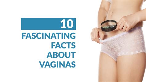Fascinating Facts About Vaginas Youtube