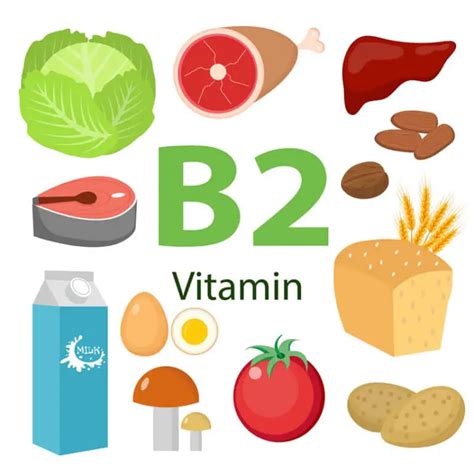 Voorkom Een Vitamine B2 Tekort En Herken De Symptomen