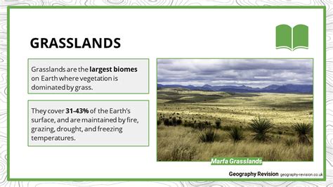 Grasslands Gcse Geography Resources And Revision Materials