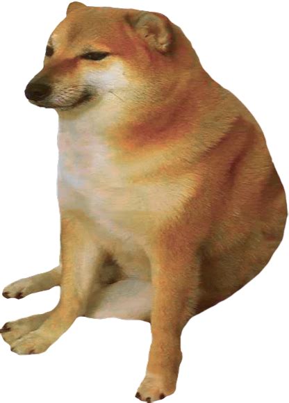 Bonk It Online 💥 Doge Much Wow Dog Memes Doge Dog Doge Meme