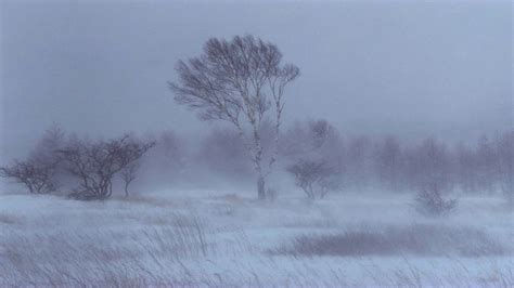 3 Hours Howling Wind Ήχος Αέρα Howling Blizzard Sounds Heavy Wind