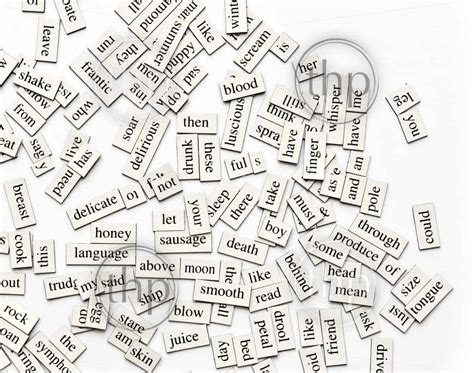 Random Collection Of Different Words And Word Forms For Magnetic Poetry