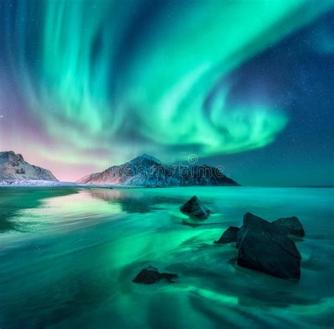 Aurora Nothern Lights In Lofoten Islands Norway Stock Image Image