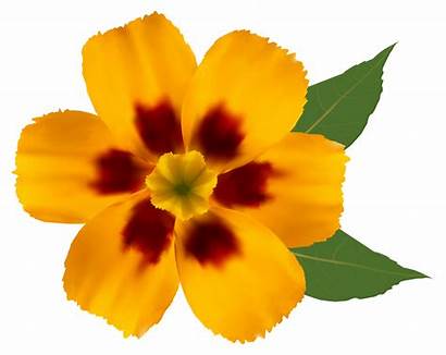 Yellow Flower Clipart Transparent Flowers Clip Yopriceville