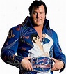 Honky Tonk Man wrestles for new fans in WWE All Stars video game - al.com