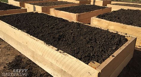 What Is The Best Soil For My Raised Garden Bed
