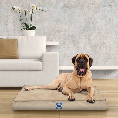 Sealy Orthopedic Pet Bed Tan Extra Large