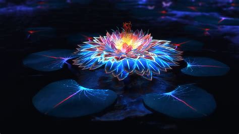 Lotus Flower Glowing Colorful 4k 3840x2160 23 Wallpaper