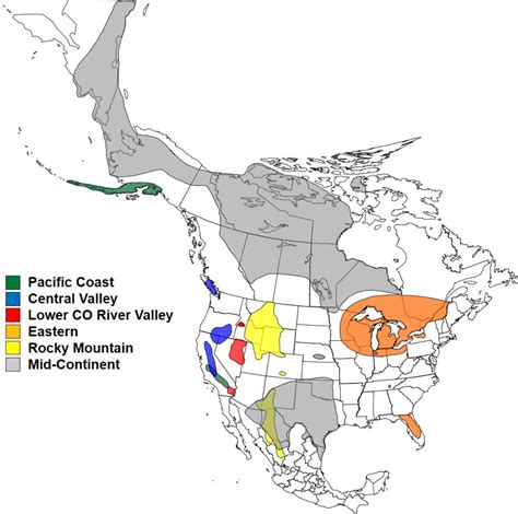 Sandhill Crane Populations In North America